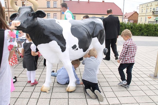 Pobiły ?serowy? rekord - zdjęcia
