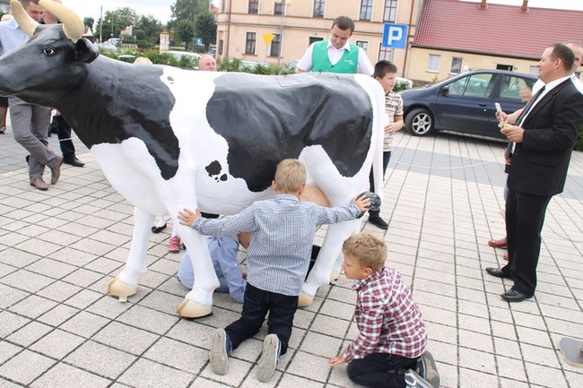 Pobiły ?serowy? rekord - zdjęcia
