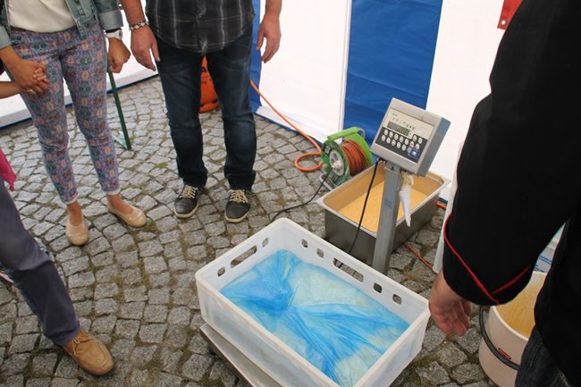 Pobiły ?serowy? rekord - zdjęcia