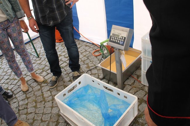 Pobiły ?serowy? rekord - zdjęcia