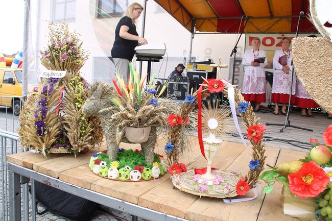 Pobiły ?serowy? rekord - zdjęcia