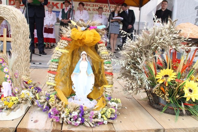 Pobiły ?serowy? rekord - zdjęcia