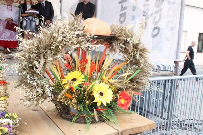 Pobiły ?serowy? rekord - zdjęcia