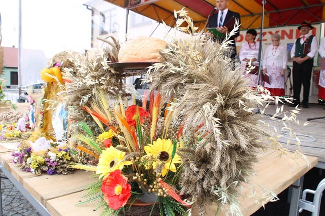 Pobiły ?serowy? rekord - zdjęcia