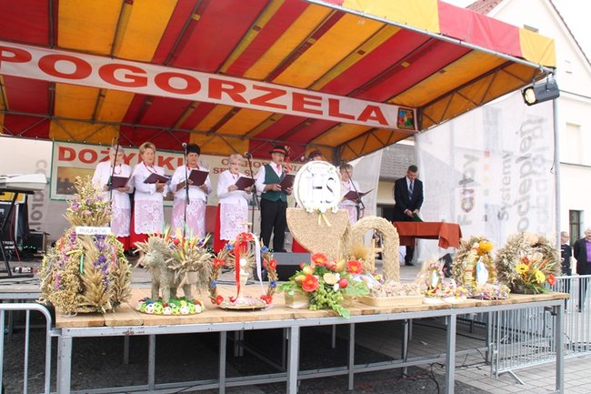 Pobiły ?serowy? rekord - zdjęcia