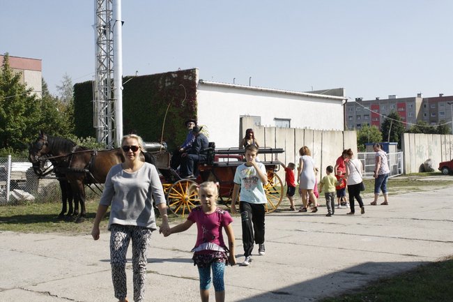 Festyn z górnej półki