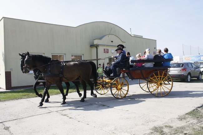 Festyn z górnej półki