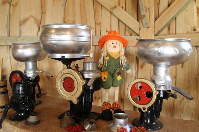 Odkrywali prawdziwą wieś