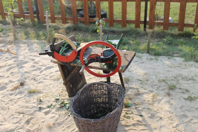 Odkrywali prawdziwą wieś