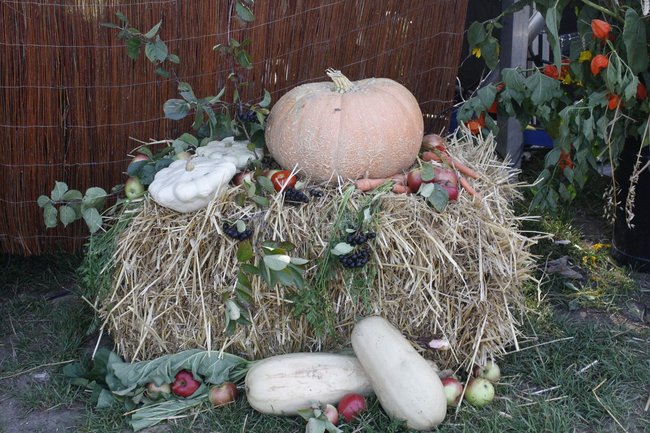 Dumni ze swoich korzeni - zdjęcia