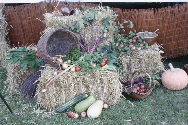 Dumni ze swoich korzeni - zdjęcia