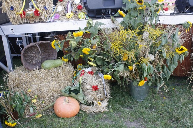 Dumni ze swoich korzeni - zdjęcia