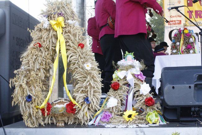 Dumni ze swoich korzeni - zdjęcia