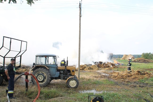 Przerażeni tumanami dymu- zdjęcia