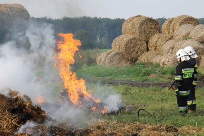 Przerażeni tumanami dymu- zdjęcia