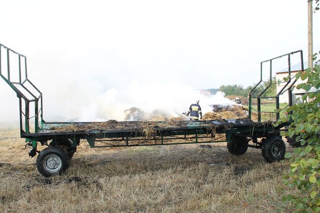 Przerażeni tumanami dymu- zdjęcia