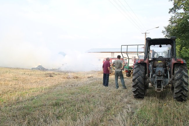 Przerażeni tumanami dymu- zdjęcia