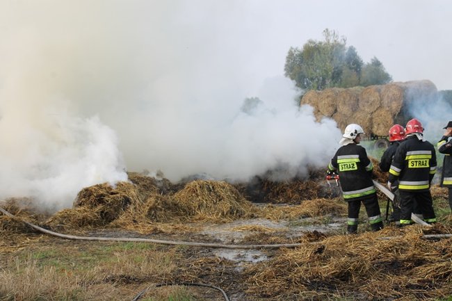Przerażeni tumanami dymu- zdjęcia