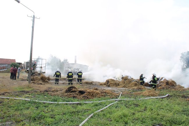 Przerażeni tumanami dymu- zdjęcia