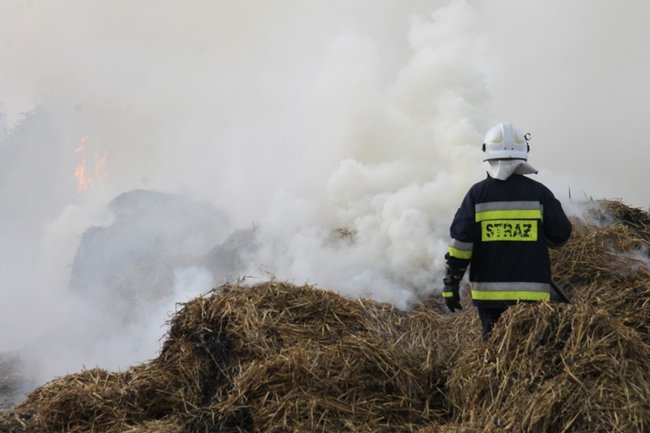 Przerażeni tumanami dymu- zdjęcia