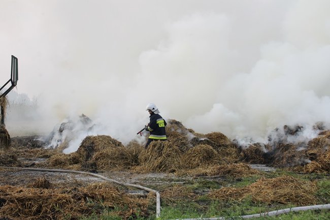 Przerażeni tumanami dymu- zdjęcia