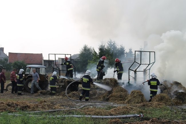 Przerażeni tumanami dymu- zdjęcia
