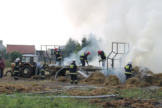 Przerażeni tumanami dymu- zdjęcia