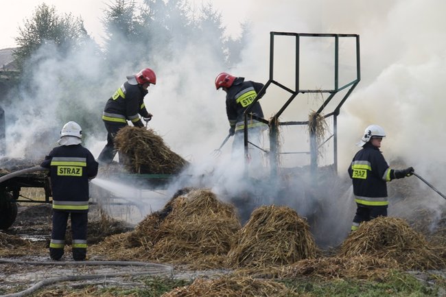 Przerażeni tumanami dymu- zdjęcia
