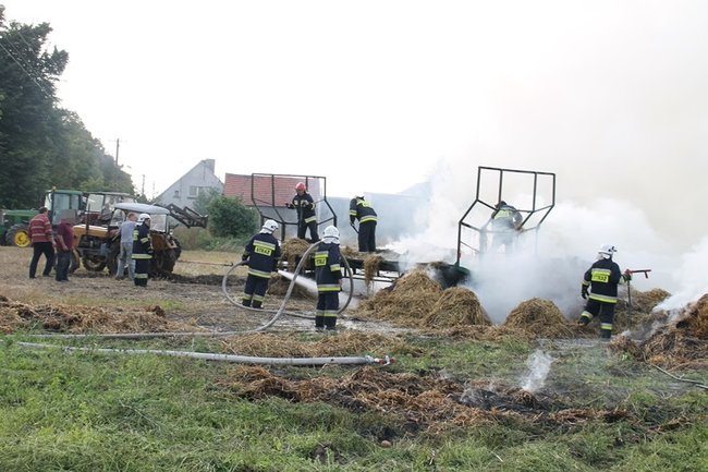 Przerażeni tumanami dymu- zdjęcia