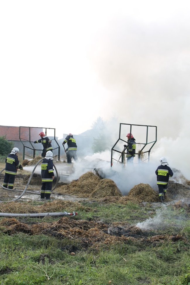 Przerażeni tumanami dymu- zdjęcia