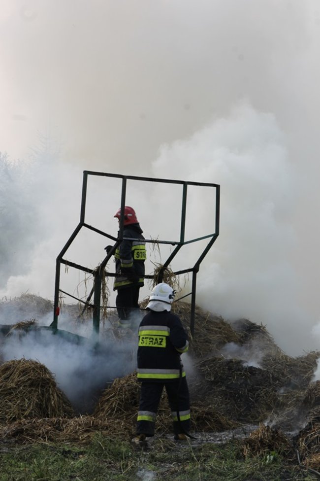 Przerażeni tumanami dymu- zdjęcia