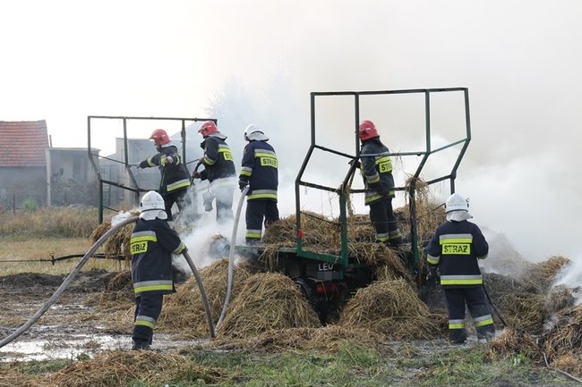 Przerażeni tumanami dymu- zdjęcia