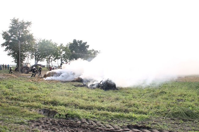 Przerażeni tumanami dymu- zdjęcia