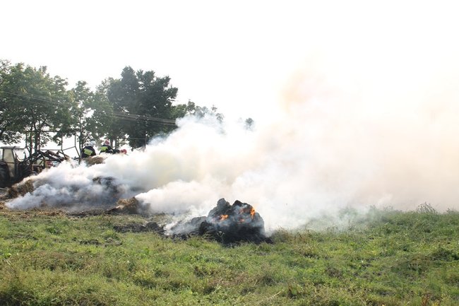 Przerażeni tumanami dymu- zdjęcia