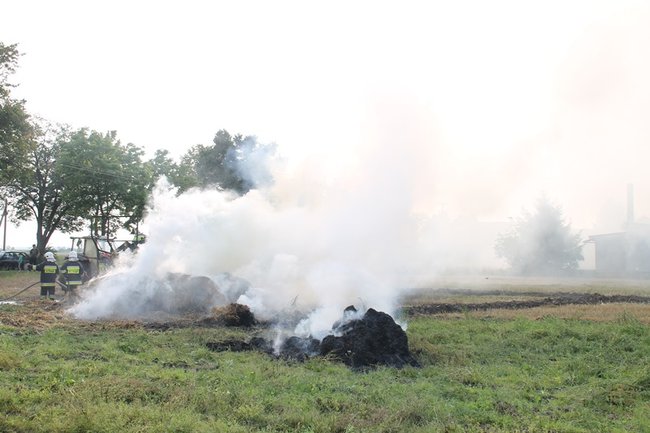Przerażeni tumanami dymu- zdjęcia