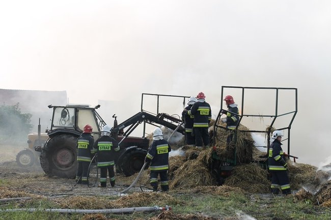 Przerażeni tumanami dymu- zdjęcia