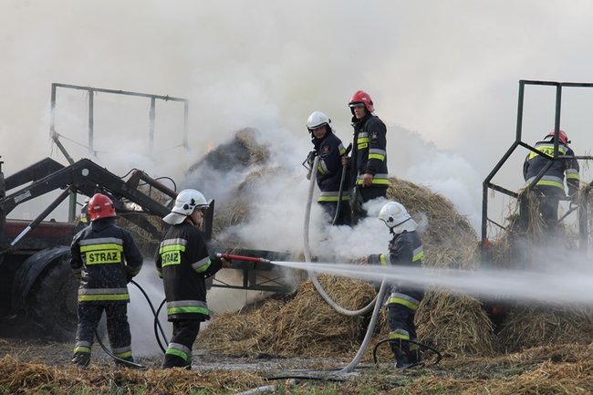 Przerażeni tumanami dymu- zdjęcia