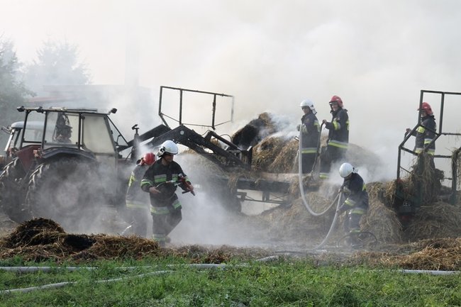 Przerażeni tumanami dymu- zdjęcia