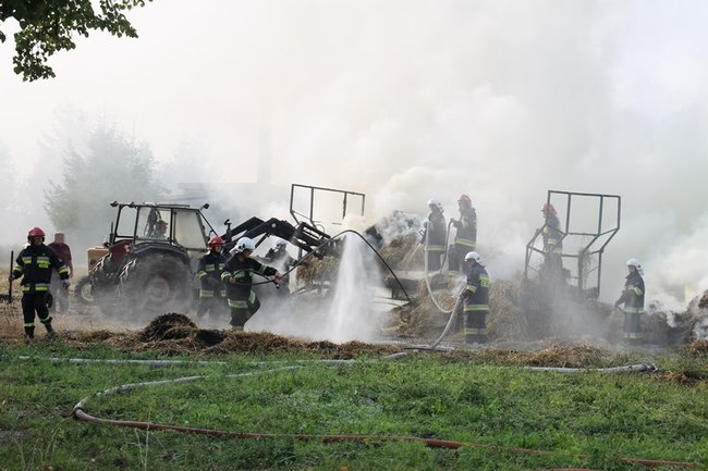 Przerażeni tumanami dymu- zdjęcia
