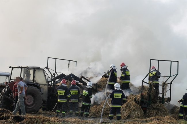 Przerażeni tumanami dymu- zdjęcia
