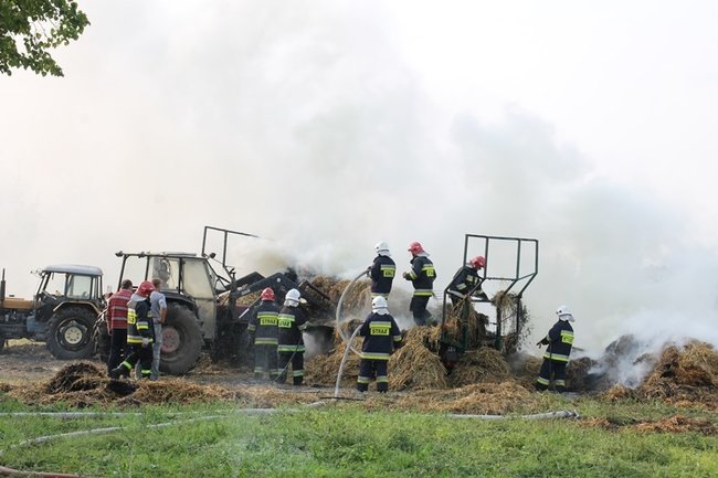 Przerażeni tumanami dymu- zdjęcia