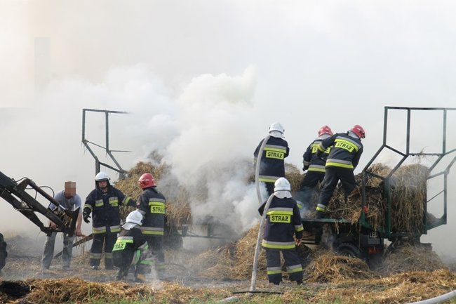 Przerażeni tumanami dymu- zdjęcia