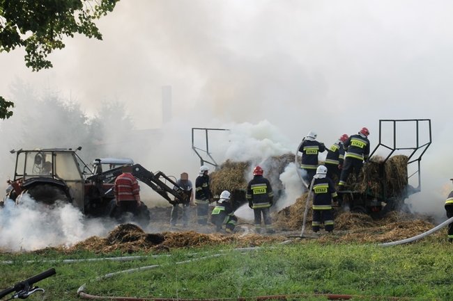 Przerażeni tumanami dymu- zdjęcia