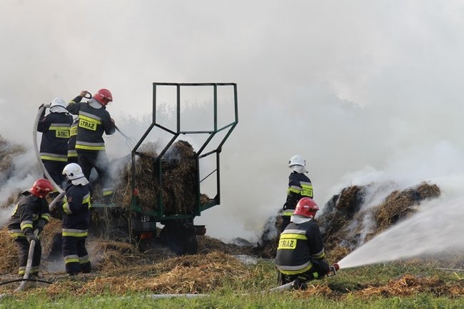 Przerażeni tumanami dymu- zdjęcia
