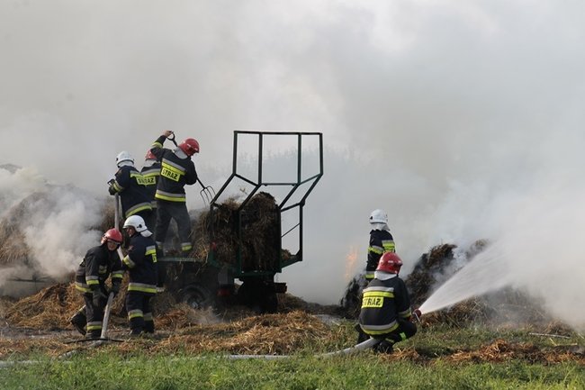 Przerażeni tumanami dymu- zdjęcia