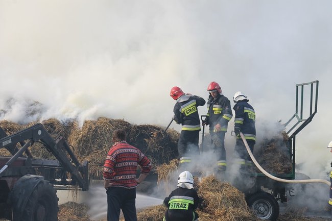 Przerażeni tumanami dymu- zdjęcia