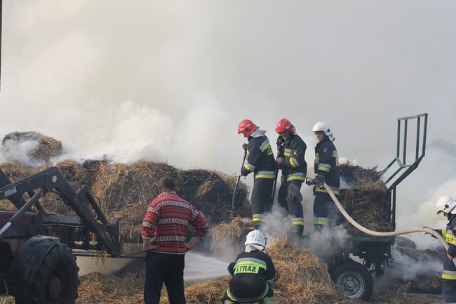 Przerażeni tumanami dymu- zdjęcia