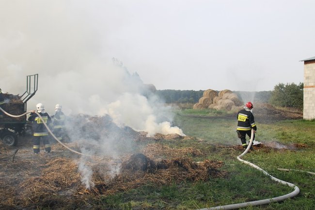 Przerażeni tumanami dymu- zdjęcia