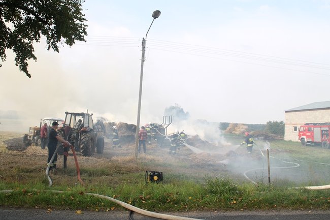 Przerażeni tumanami dymu- zdjęcia