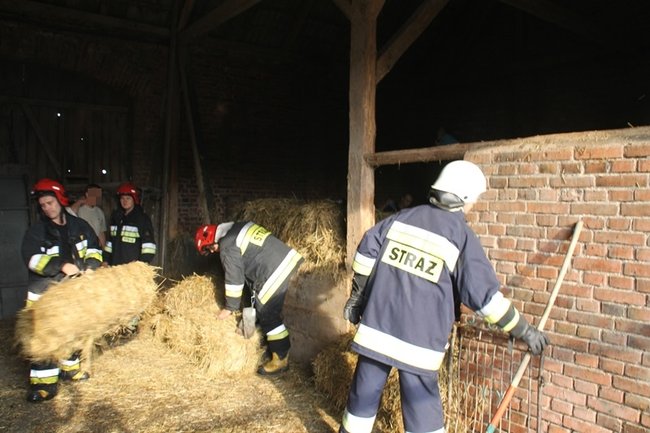 Pożar w gospodarstwie - zdjęcia